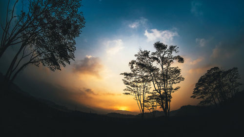 Low angle view of silhouette tree against sky during sunset