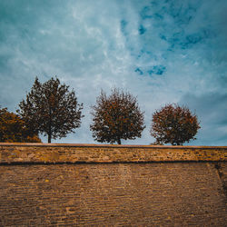 Trees on field against sky