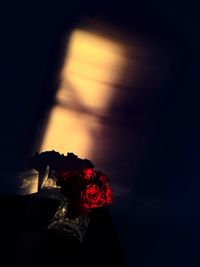 Close-up of red rose
