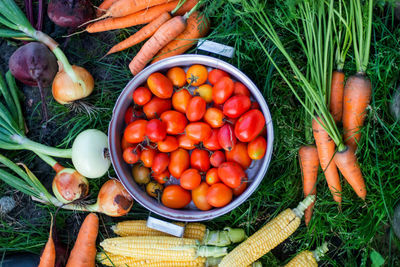 High angle view of vegetables on table