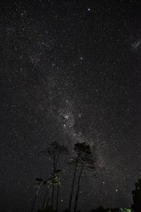 Low angle view of star field against sky at night