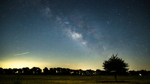 A tree silhouette in front of the night sky and milky way galaxy.