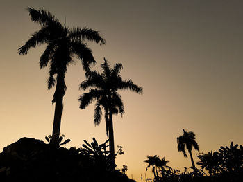 Silhouette palm trees against sky during sunset