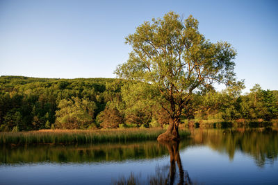Scenic view of lake against clear sky
