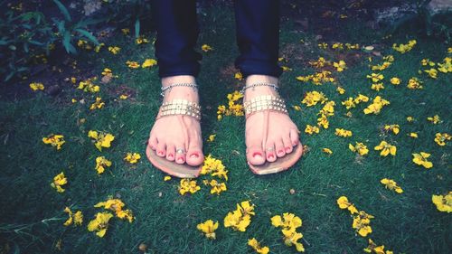 Low section of woman standing on yellow flowers