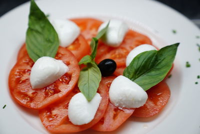 Close-up of salad served in plate