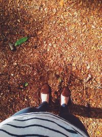 Low section of person standing on ground