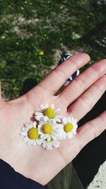 Close-up of hand holding flower