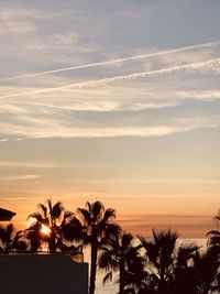 Silhouette palm trees against sky during sunset