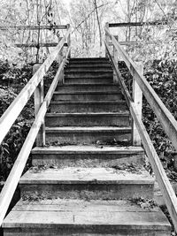 Staircase on tree