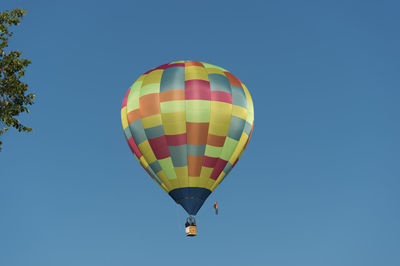 A colorful hot air balloon  in the blue sky. in the foreground are branches of trees. copy space