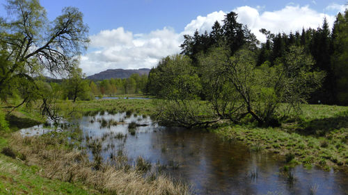 Scenic view of lake by trees against sky