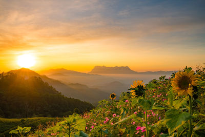 Scenic view of mountains against sky during sunset