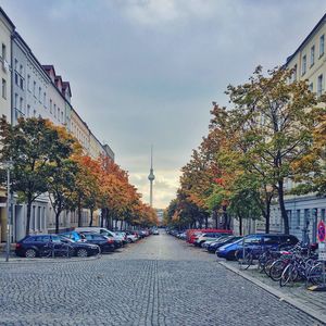 Cars parked on road