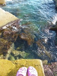 Low section of person standing on shore