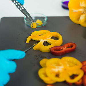 Cropped hands of scientist experimenting on bell peppers