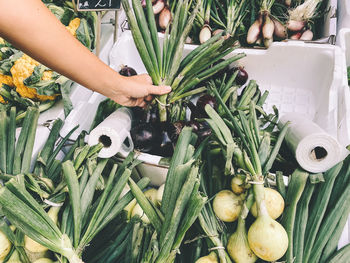 Midsection of person holding vegetables at market