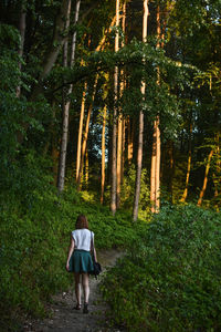 Rear view of women walking in forest