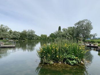 Scenic view of lake against sky