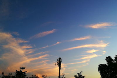 Low angle view of silhouette trees against sky during sunset