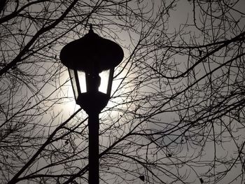 Low angle view of silhouette bird perching on tree against sky