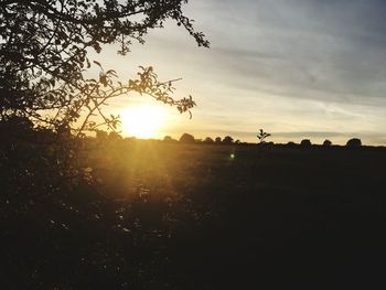 Silhouette trees on field against sky at sunset