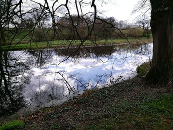 Reflection of trees in lake against sky