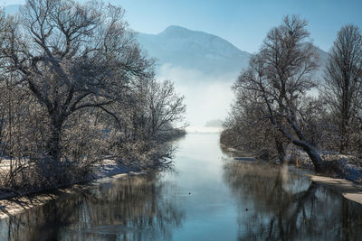 Reflection of trees in lake against sky