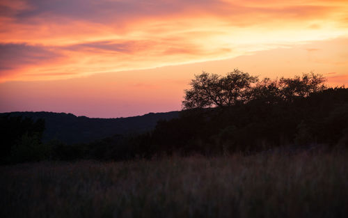 Silhouette trees on landscape against orange sky