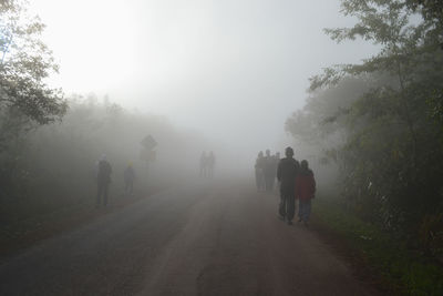 Rear view of people walking on road amidst trees