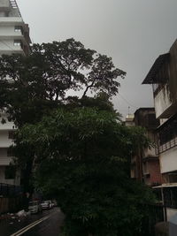 Street amidst trees and buildings against sky