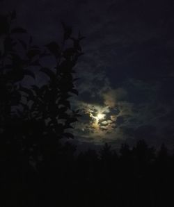 Low angle view of silhouette trees against sky at night