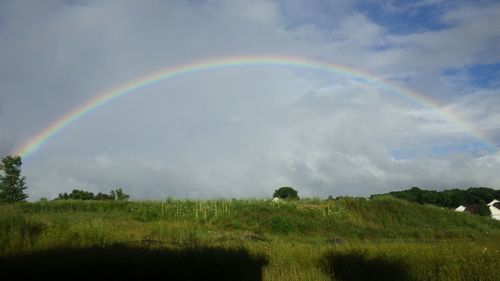 Rainbow over grassy field