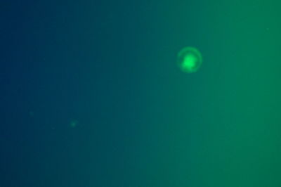 View of moon in blue sky