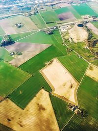 High angle view of agricultural field