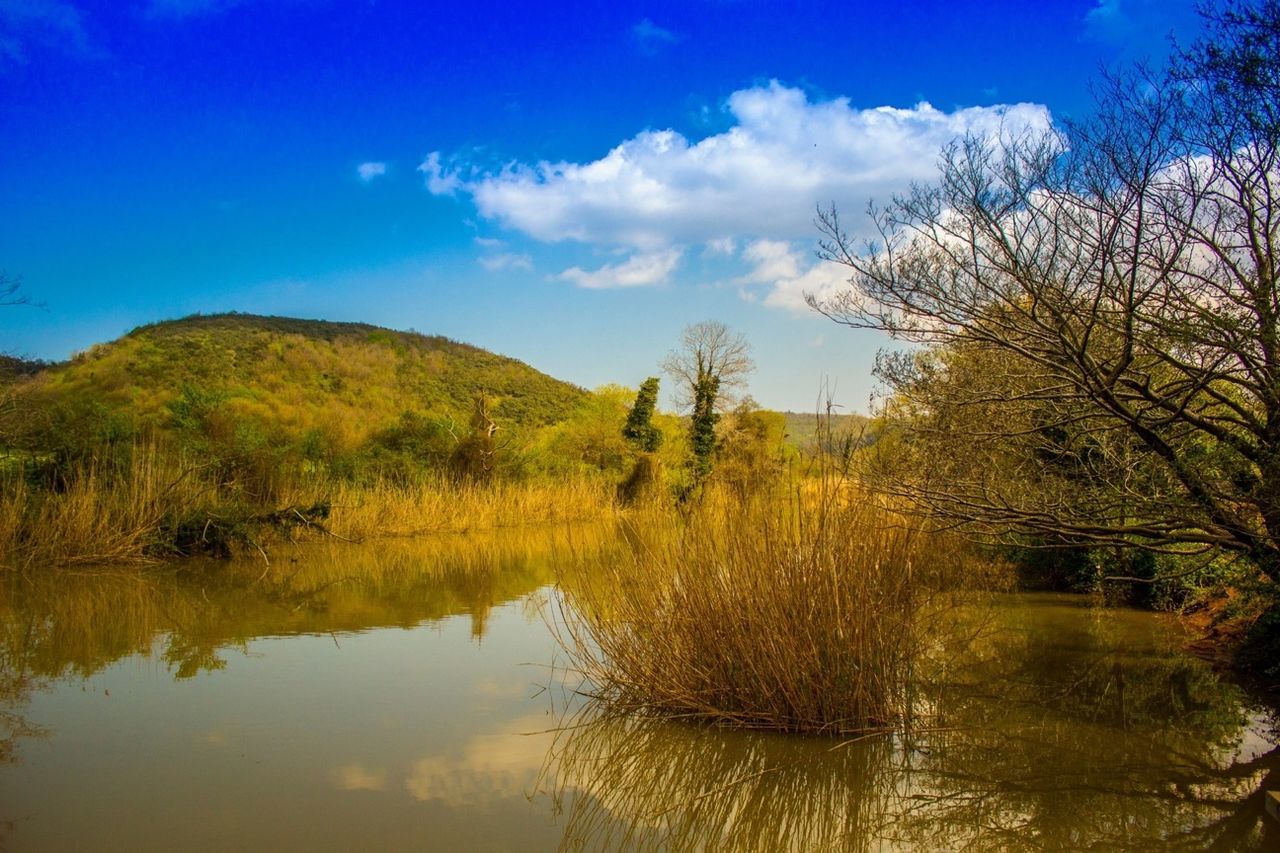 sky, tranquility, water, tranquil scene, reflection, lake, scenics, beauty in nature, blue, tree, nature, cloud, cloud - sky, waterfront, idyllic, growth, calm, outdoors, day, no people