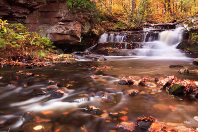 Scenic view of waterfall in forest