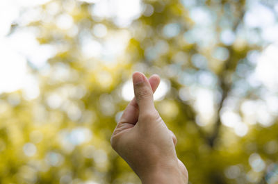 Cropped image of hand snapping against tree