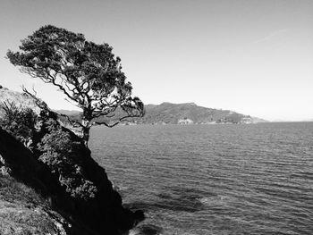 Scenic view of landscape with mountain in background