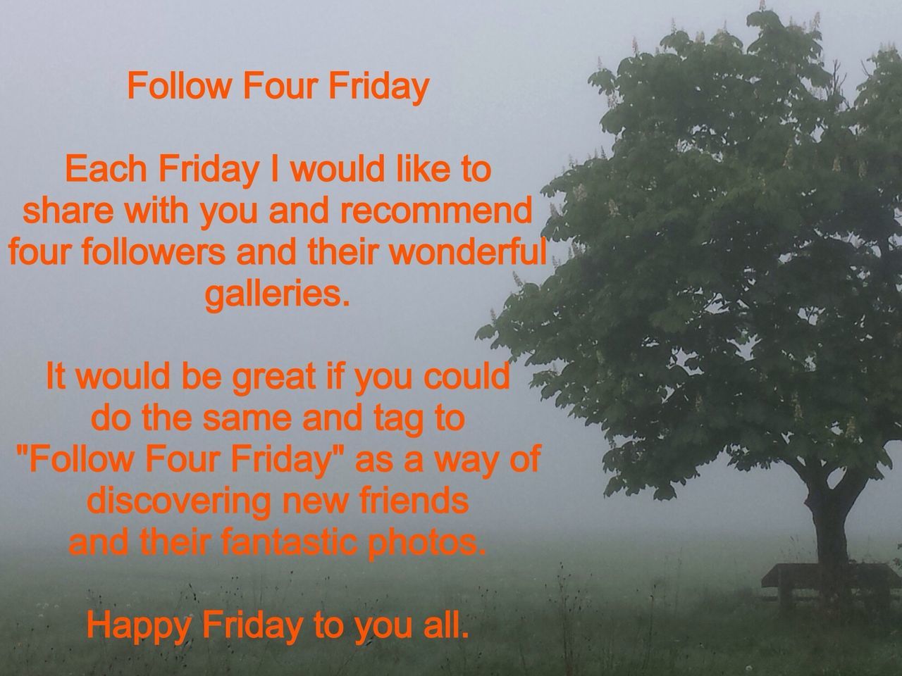 Follow Four Friday