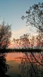 Reflection of trees in lake