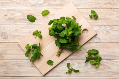 High angle view of leaves on table