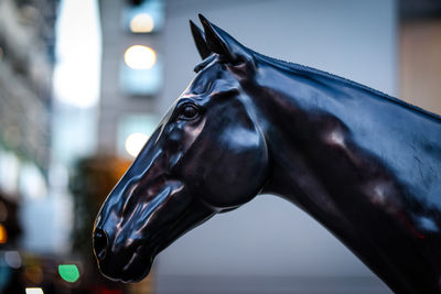 Close-up of black animal statue