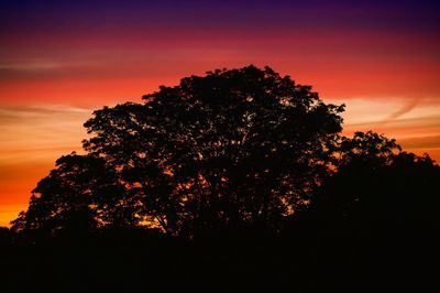 Low angle view of silhouette trees against dramatic sky