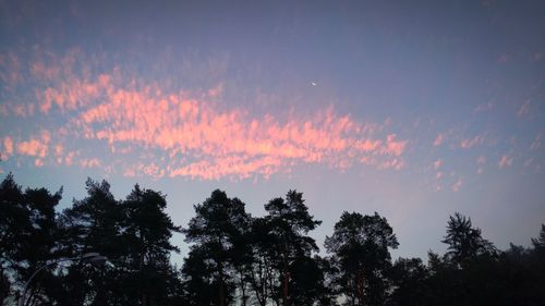 Low angle view of silhouette trees against sky