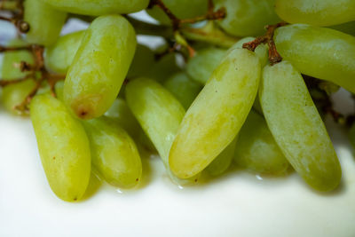 Close-up of green fruits