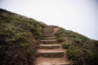 Steps amidst trees against clear sky