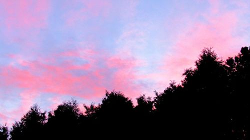 Low angle view of silhouette trees against sky at sunset