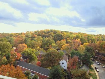 Trees and plants against sky during autumn