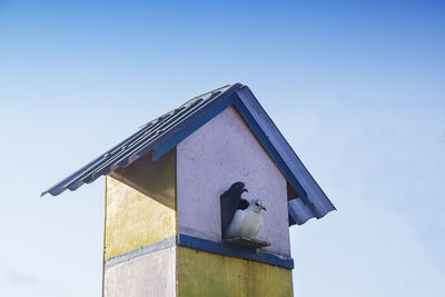 Colorful dovecote or pigeon cage against blue sky